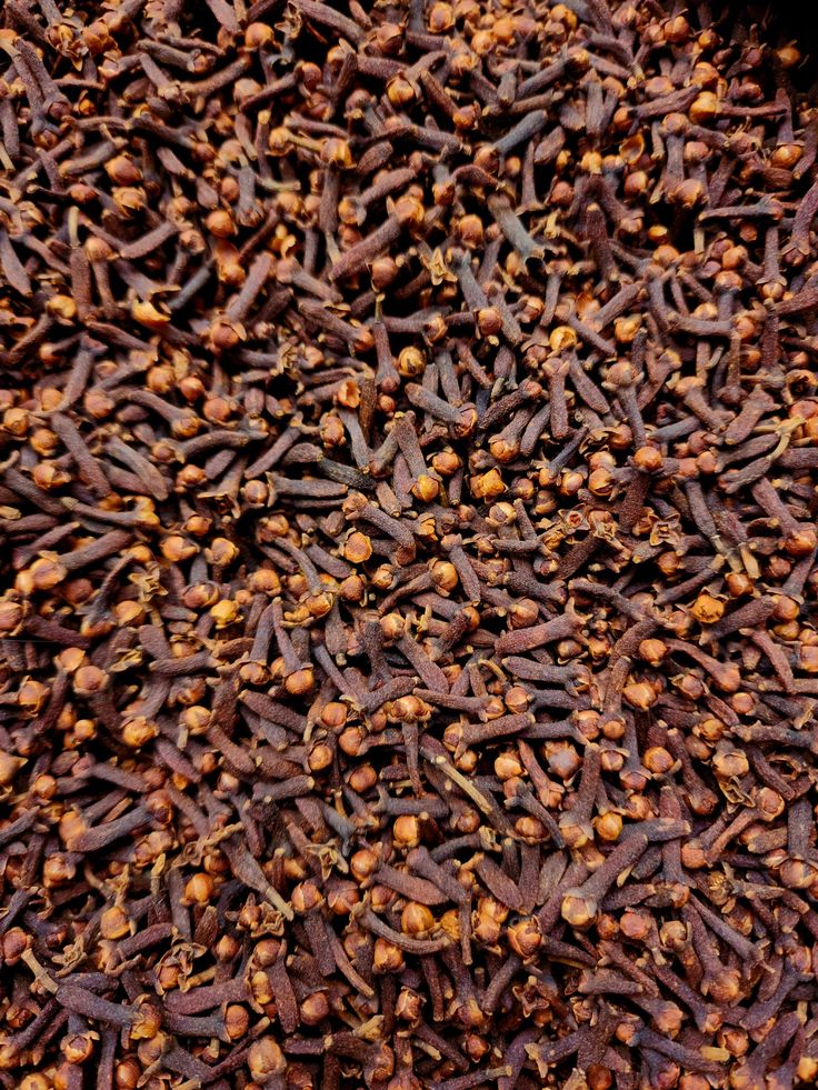 Cengkeh (Cloves)